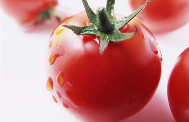 孕妇可以吃西红柿吗