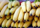 经期可以吃香蕉吗？