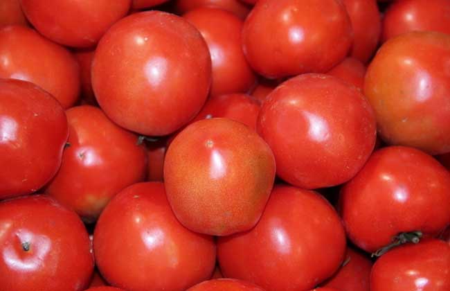 番茄面膜