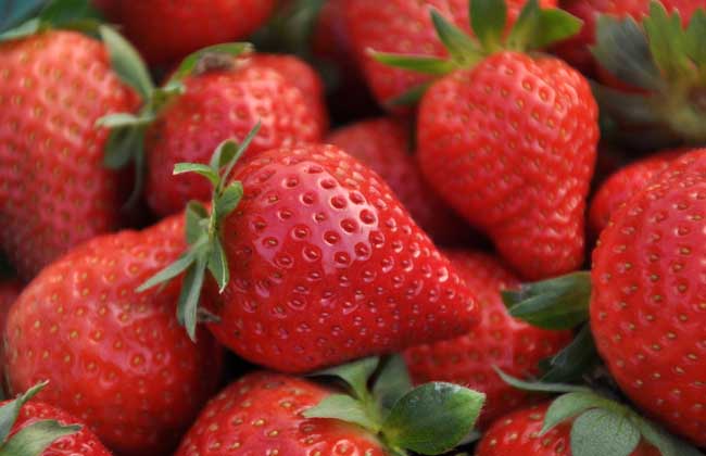 种草莓是什么意思？