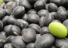 黑豆多少钱一斤？