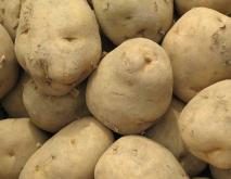 土豆种植技术视频