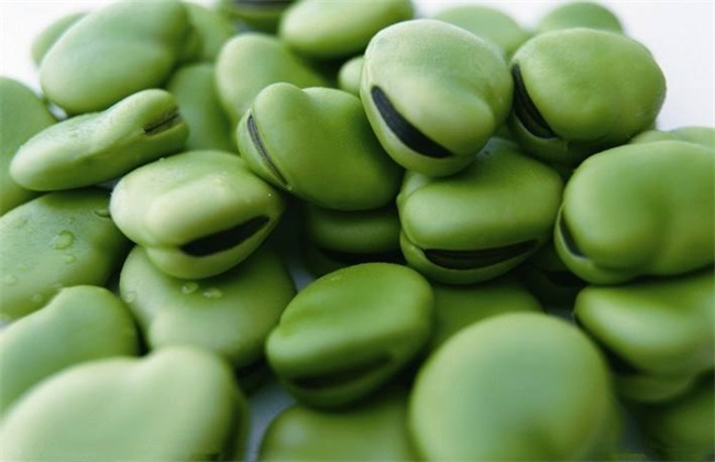 蚕豆的种植方法