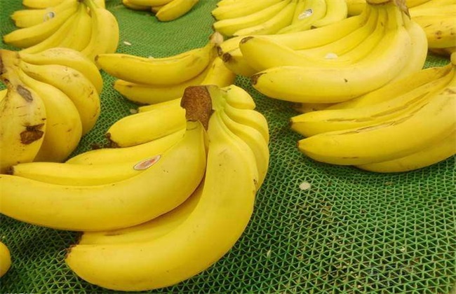 香蕉不能和什么一起吃 香蕉