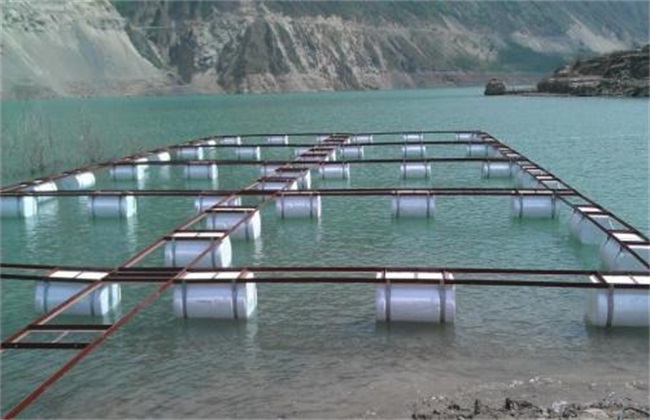 水库网箱养鱼技术