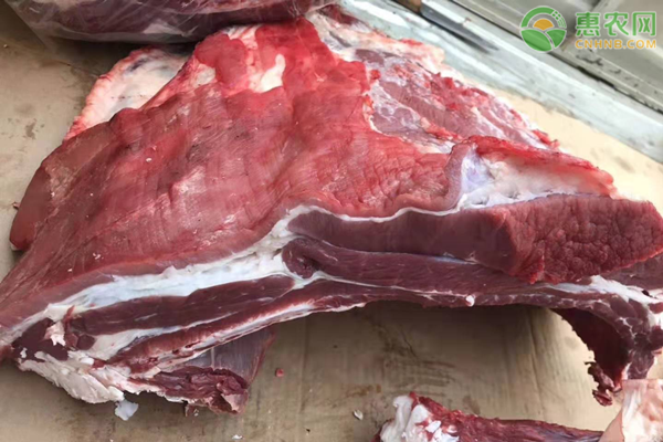 2020年中秋国庆节羊肉价格行情预测