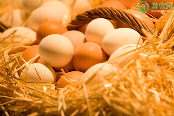 2020年10月份鸡蛋价格行情预测
