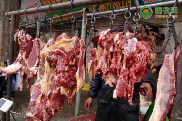 2020中秋国庆羊肉价格预测（附今日最新羊肉价格）