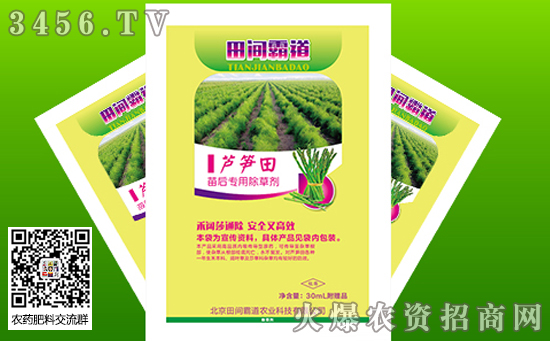芦笋的种植技术 种植方法 管理方法